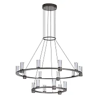 Люстра подвесная Defance 7143/110L Odeon Light прозрачная на 16 ламп, основание серое чёрное в стиле современный классический кольца Люстра подвесная Defance 7143/110L Odeon Light прозрачная на 16 ламп, основание серое чёрное в стиле современный классический кольца